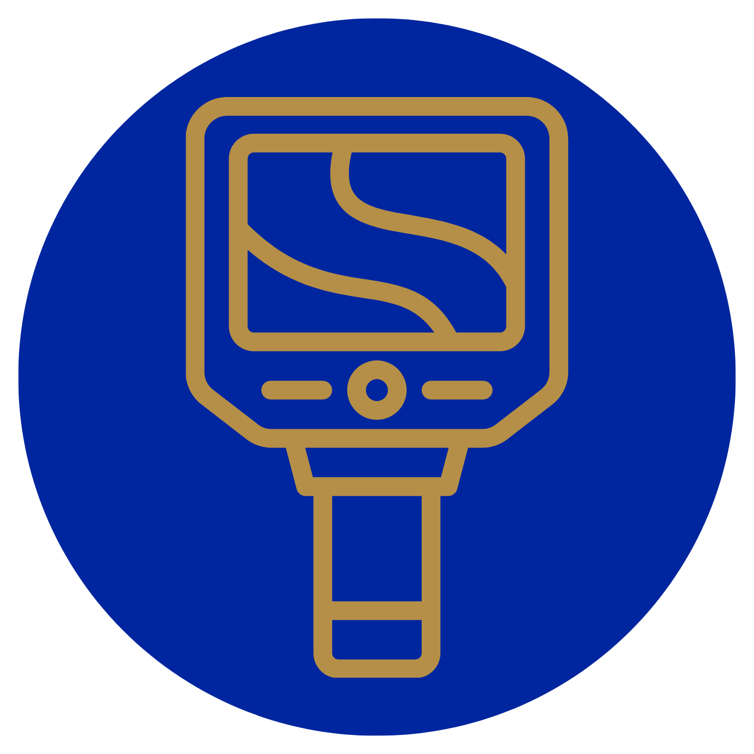 Structural Integrity Reserve Study (SIRS) icon.